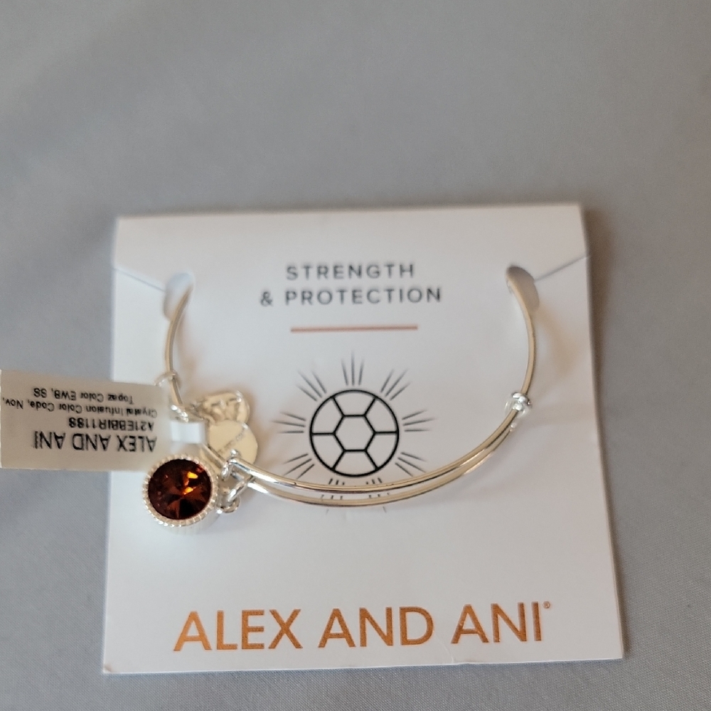 Alex and Ani Silver Bangle with Brown Charm